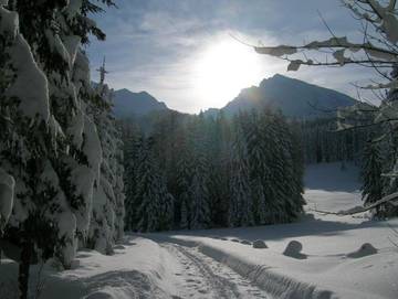 Hütte für 4 Personen in Spital am Pyhrn, Steyr-Kirchdorf, Bild 3