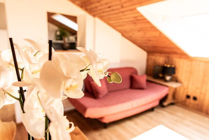Ganze Wohnung, Apartment "Haus Lohengrin - Ferienwohnung 5" mit Bergblick, Wlan, Balkon und Garten in Seis am Schlern, Kastelruth