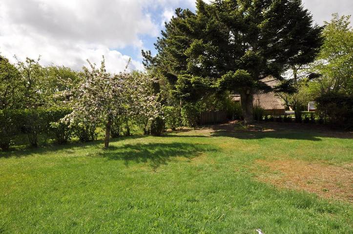 Ferienhaus für 6 Personen, mit Garten und Terrasse sowie Sauna, mit Haustier in St. Peter-Ording - 4