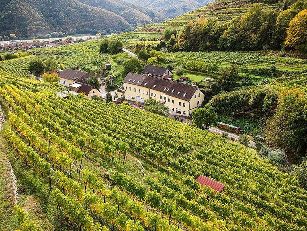 Ganze Ferienwohnung, Weinbau und Gästehaus Weidenauer - Ferienwohnung in Wösendorf in der Wachau, Weißenkirchen in der Wachau