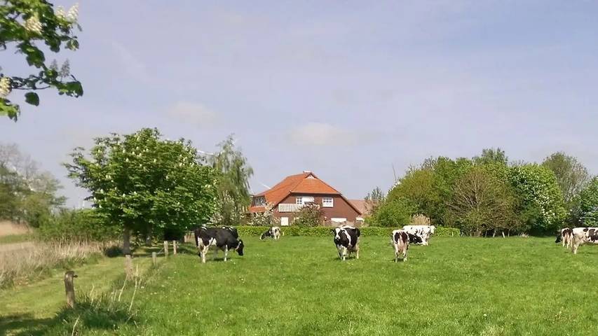 Ferienhaus für 5 Personen, mit Terrasse in Westerholt - 3