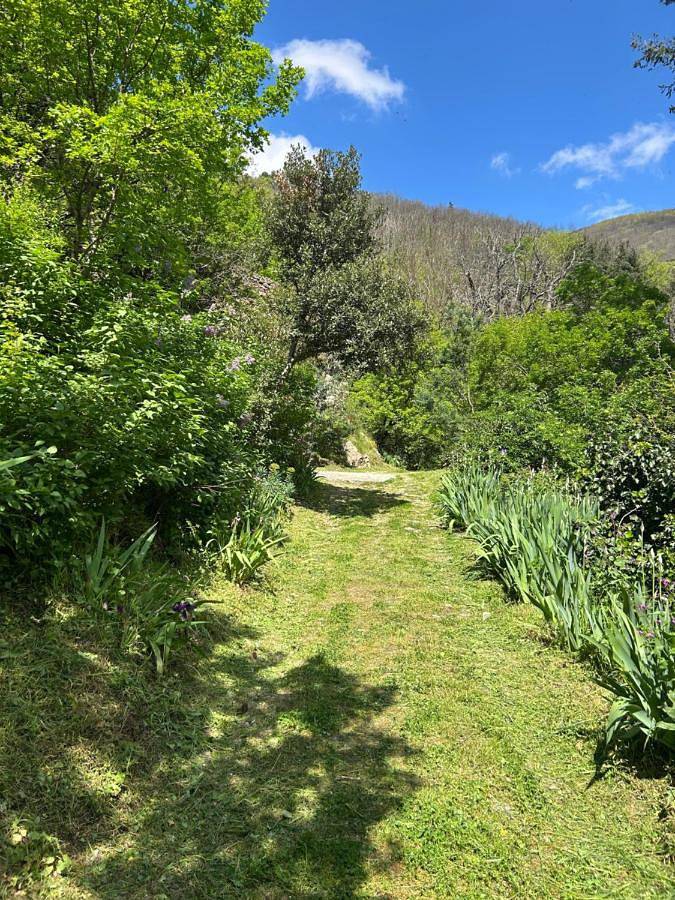 Location de vacances pour 6 personnes, avec jardin et vue, animaux acceptés à Saint-Vincent-d'Olargues - 3