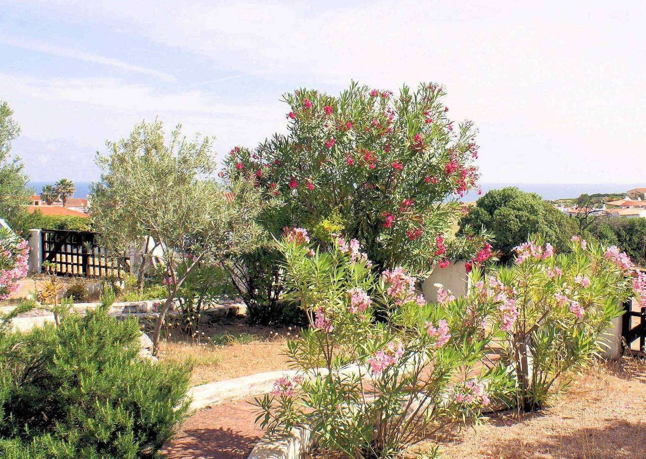 Appartement de vacances entier, Appartement à La Ciaccia avec terrasse meublée in La Ciaccia, Valledoria