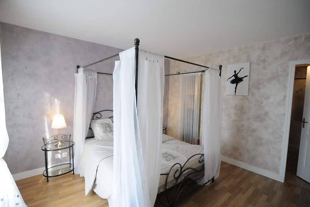 Entire apartment, View of the Loire and château, charming air-conditioned apartment, 65m2, sleeps 6/8 in Amboise, Tours region