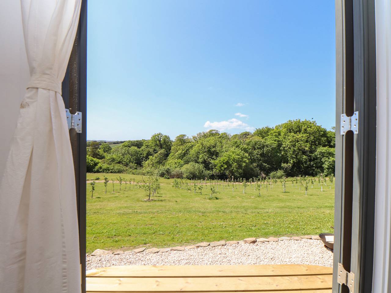 Little Pip in Cornwall