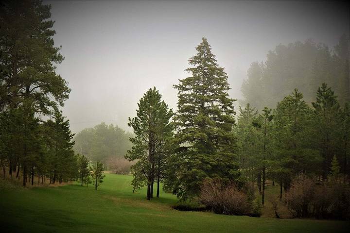 Vacation rental for 10 people, with balcony and yard in Black Hills