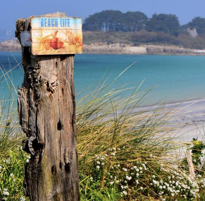 Gîte pour 14 personnes, avec jardin et terrasse, animaux acceptés dans le Finistère - 3