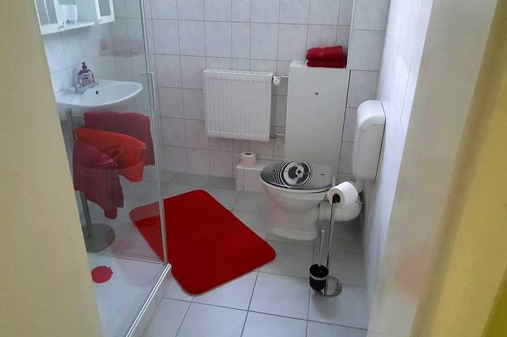 Ferienwohnung für 4 Personen, mit Terrasse und Garten in Tanne - 4