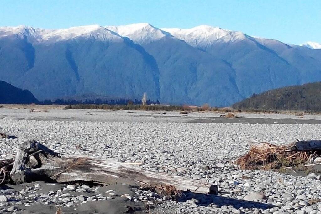 Ruhiger, abgelegener, ikonischer Buschbach in West Coast (Neuseeland)