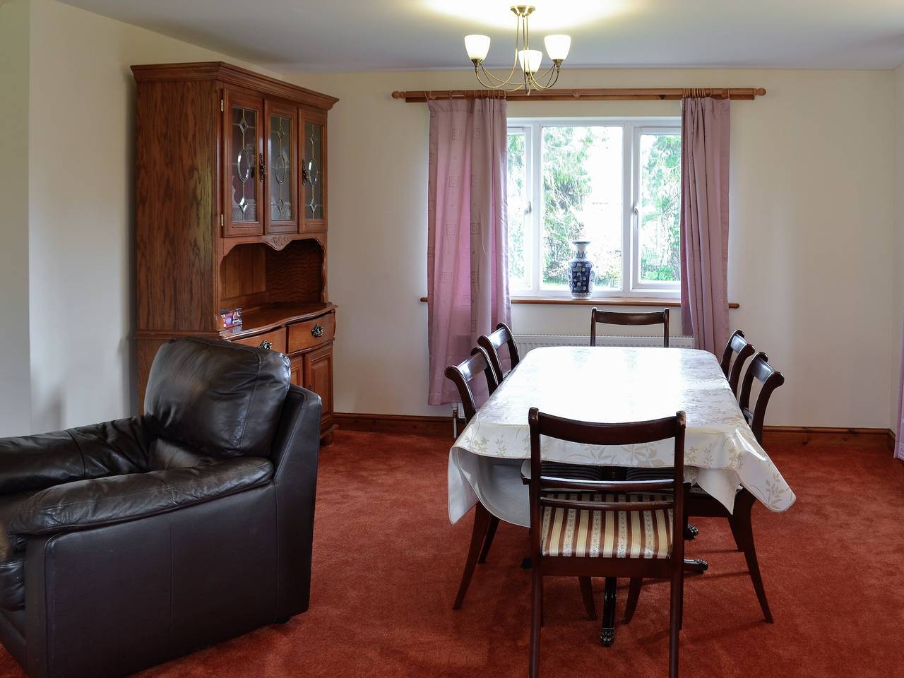 Copper Beech in Dorset