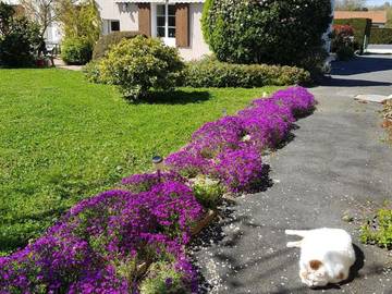 Chambre d’hôte pour 4 personnes, avec jardin à Châtillon-sur-Indre