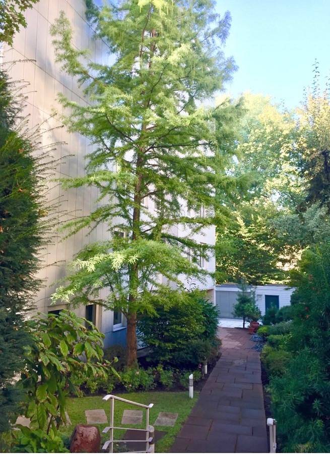 Ferienwohnung für 3 Personen, mit Terrasse und Garten sowie Ausblick in Kaiserburg Nürnberg