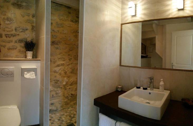 Location de vacances pour 2 personnes, avec piscine à Saint-André-de-Roquepertuis - 4
