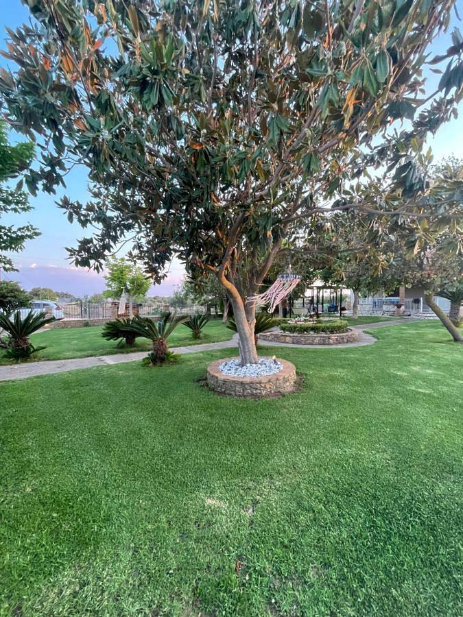 Ferienhaus für 6 Personen, mit Ausblick und Garten in Agios Ilias - 3