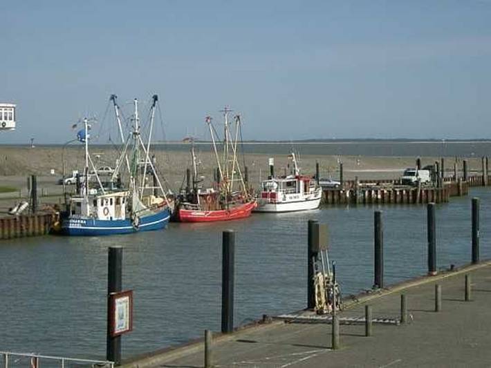 Ferienhaus für 7 Personen, mit Garten und Terrasse, kinderfreundlich in Dornumergrode - 2