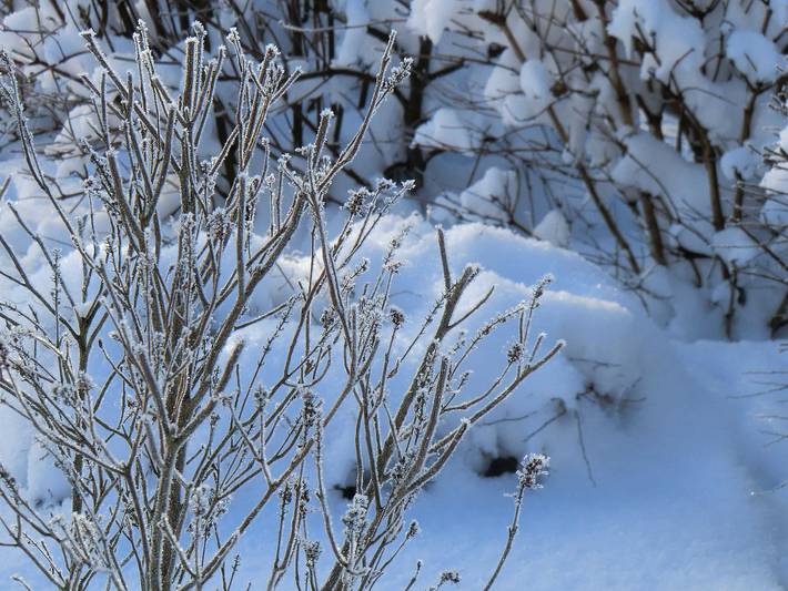 Ferienhaus für 3 Personen, mit Terrasse und Garten, kinderfreundlich in der Fränkische Schweiz - 2