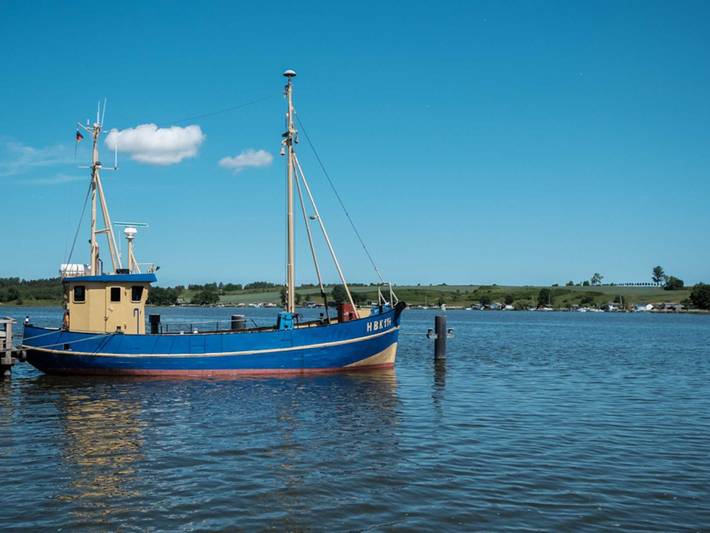 Ferienwohnung für 4 Personen, mit Garten in Zempin - 4