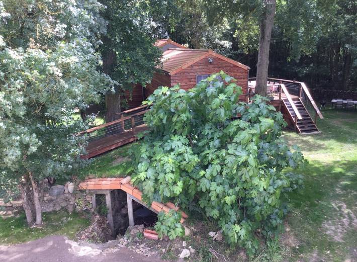 Gîte pour 9 personnes, avec terrasse, animaux acceptés dans Maine-et-Loire - 3