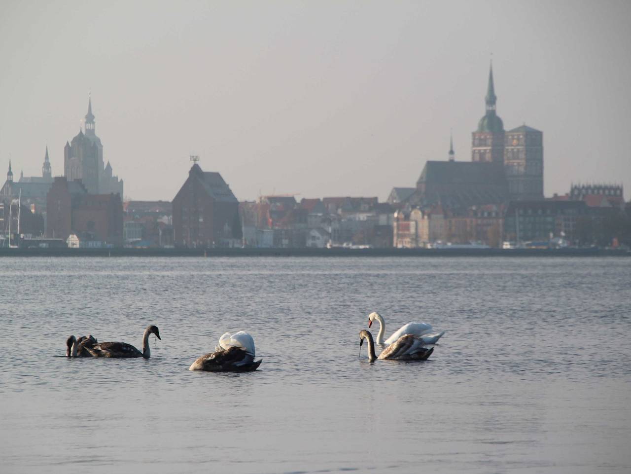 Ferienhaus Poseidon in Altefähr, Stralsund Umland
