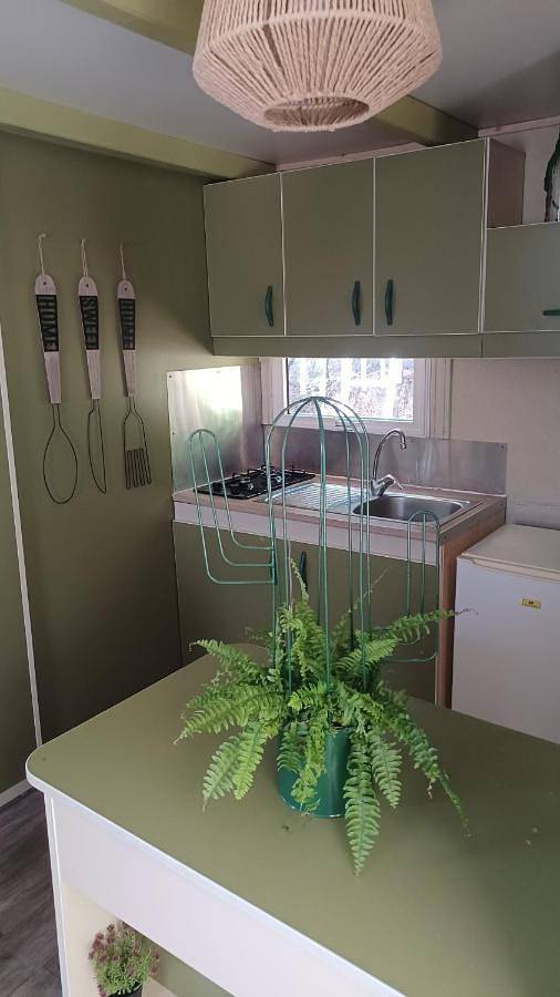 Gîte pour 5 personnes, avec terrasse à Levie - 4