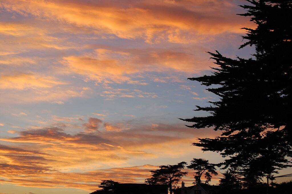 Vacation House for 8 Guests in Santa Cruz County