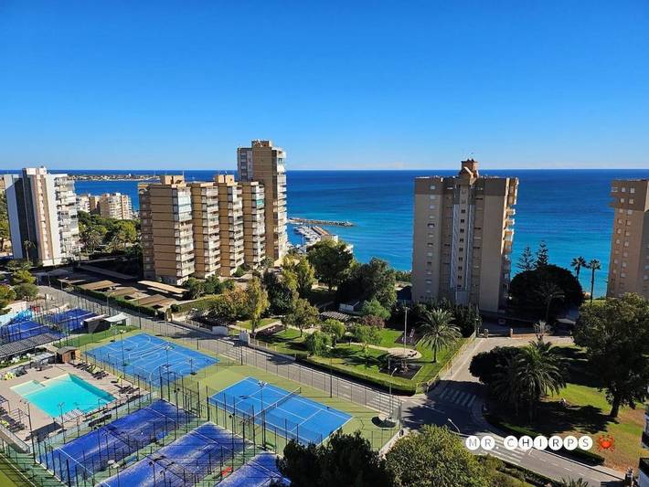 Apartamento para 4 personas, con vistas y balcón en Dehesa de Campoamor