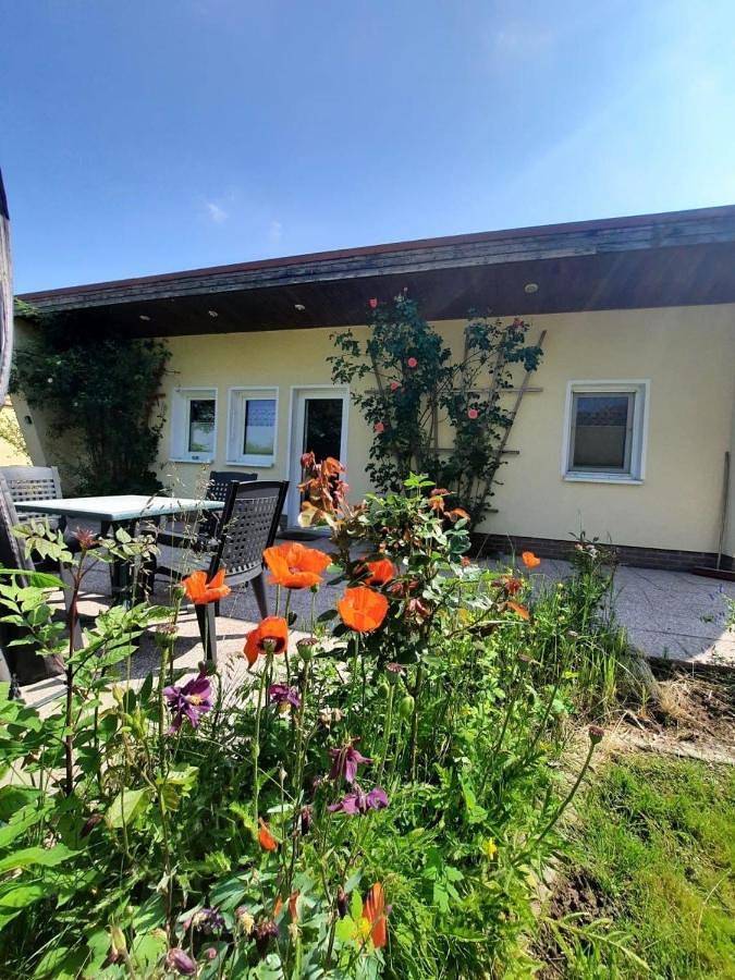 Ferienhaus in Dahmen Terrasse und Grill in Malchiner See, Dahmen
