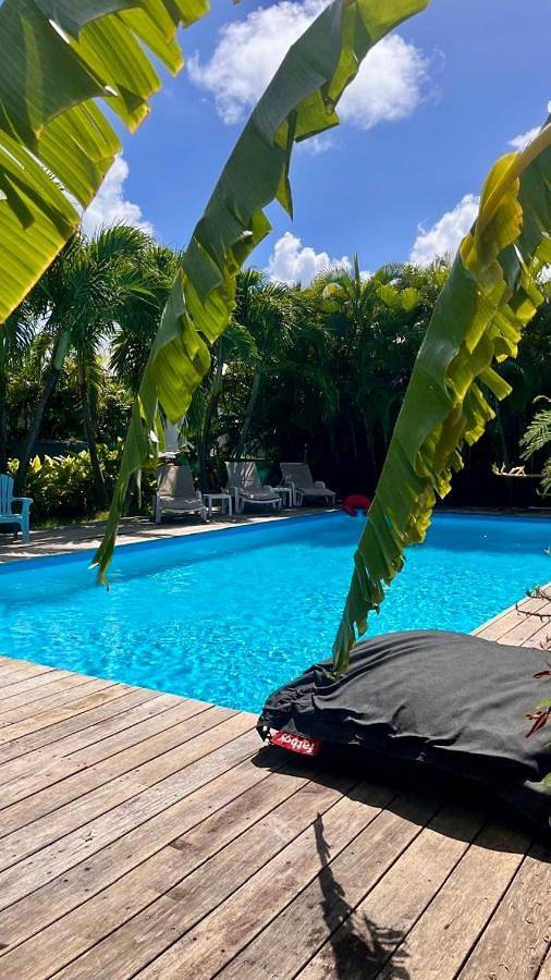 Chambre d’hôte pour 4 personnes, avec piscine et jardin, animaux acceptés à Saint-François - 2