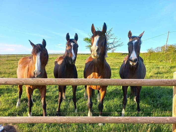 Tente pour 4 personnes, avec jardin ainsi que terrasse et vue dans Allier - 3
