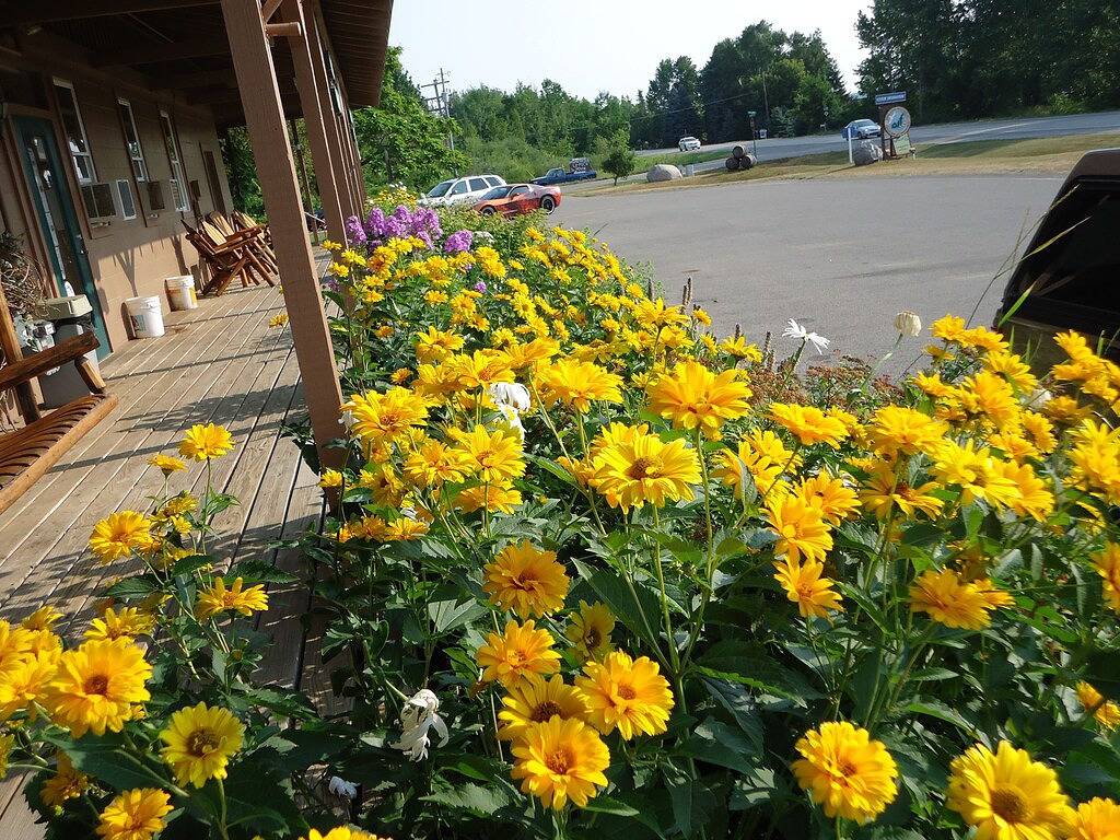 Ganze Wohnung, Bleiben Sie im Herzen der Weinprobenregion von Leelanau. Ansichten zu Traverse Bay in Leelanau County