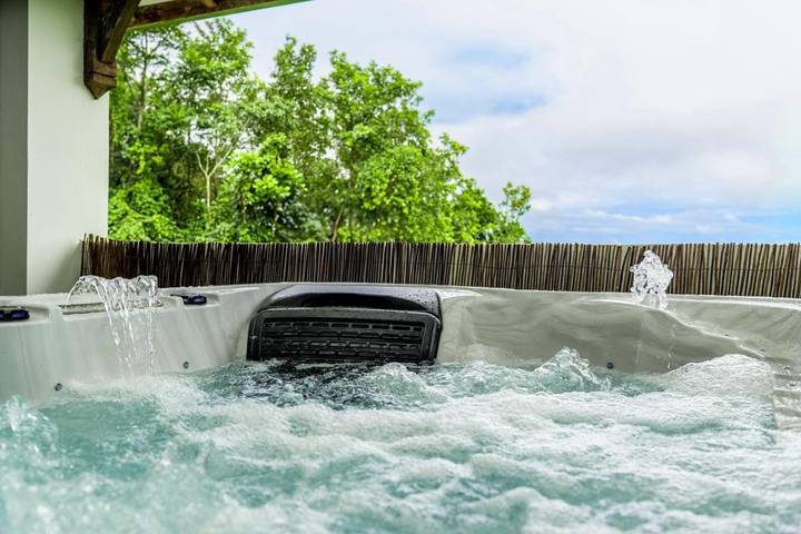 Gîte pour 2 personnes, avec jardin ainsi que jacuzzi et balcon à Saint-Esprit (homonymie) - 4