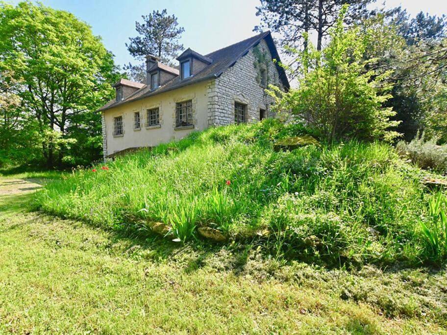 Seven-Bedroom House in Montillot, Arrondissement d'Avallon