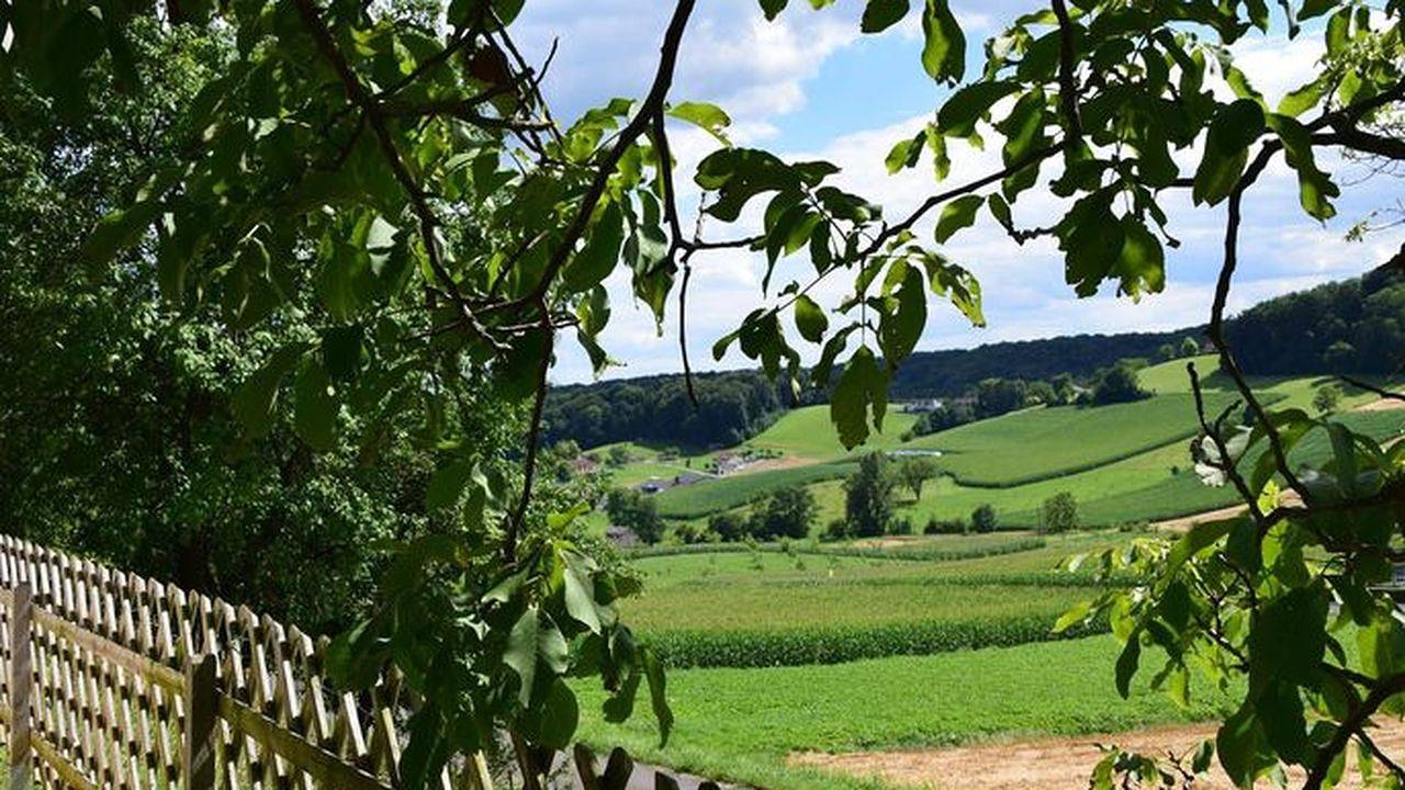 Ferienhaus für 5 Personen (60 m²) in Gnas in Südoststeiermark, Gnas