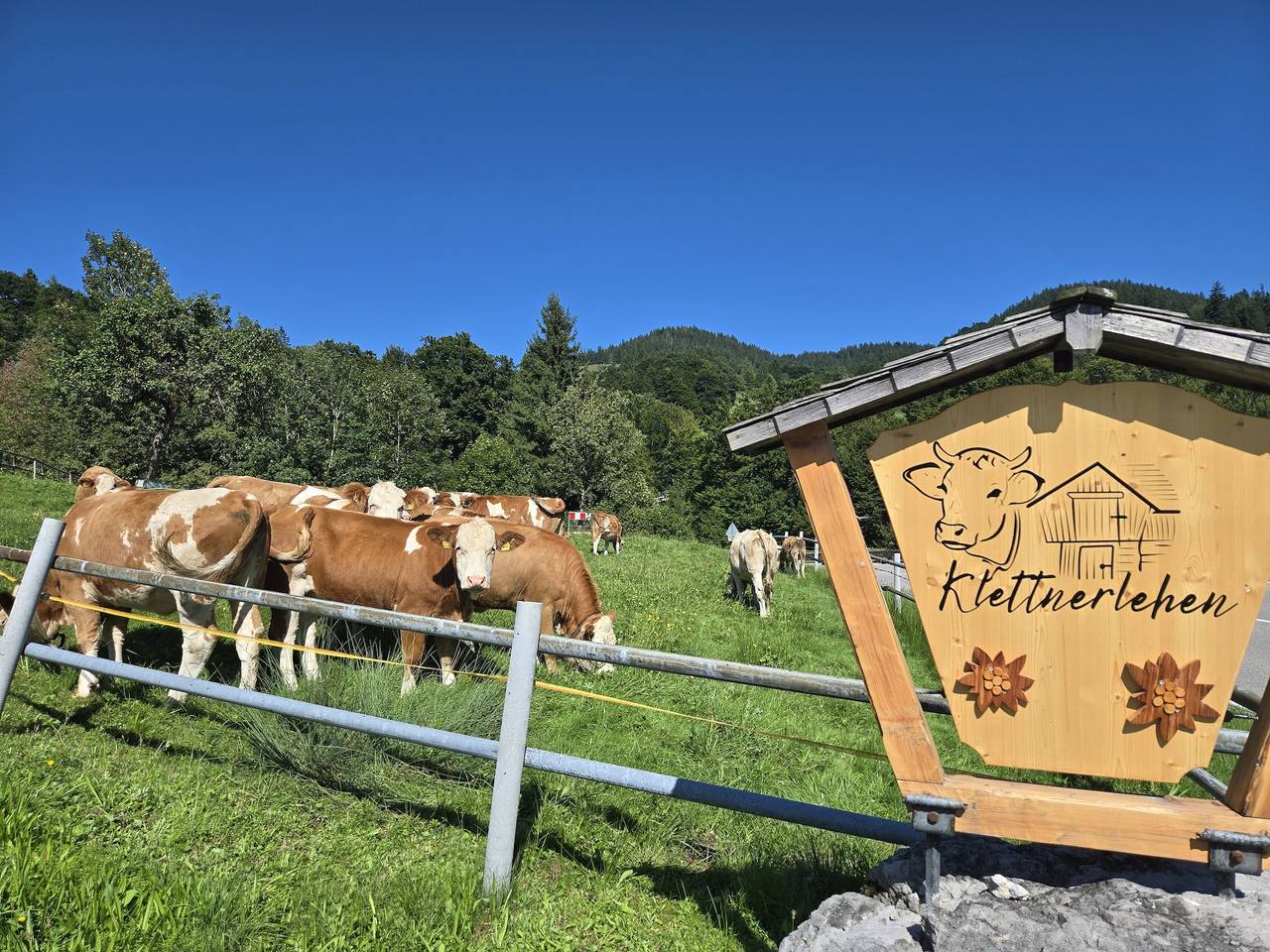 Ganze Ferienwohnung, Klettnerlehen Ferienwohnung - Ferienwohnung 1, 1-2 Personen, 38 qm, Dusche/Wc, Balkon, Tv,  Wohnschlafzimmer in Ramsau bei Berchtesgaden, Berchtesgadener Alpen
