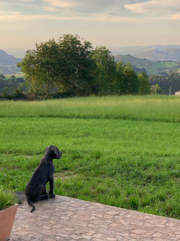 Chalet para 10 Personas en Liérganes, Provincia de Cantabria, Foto 4