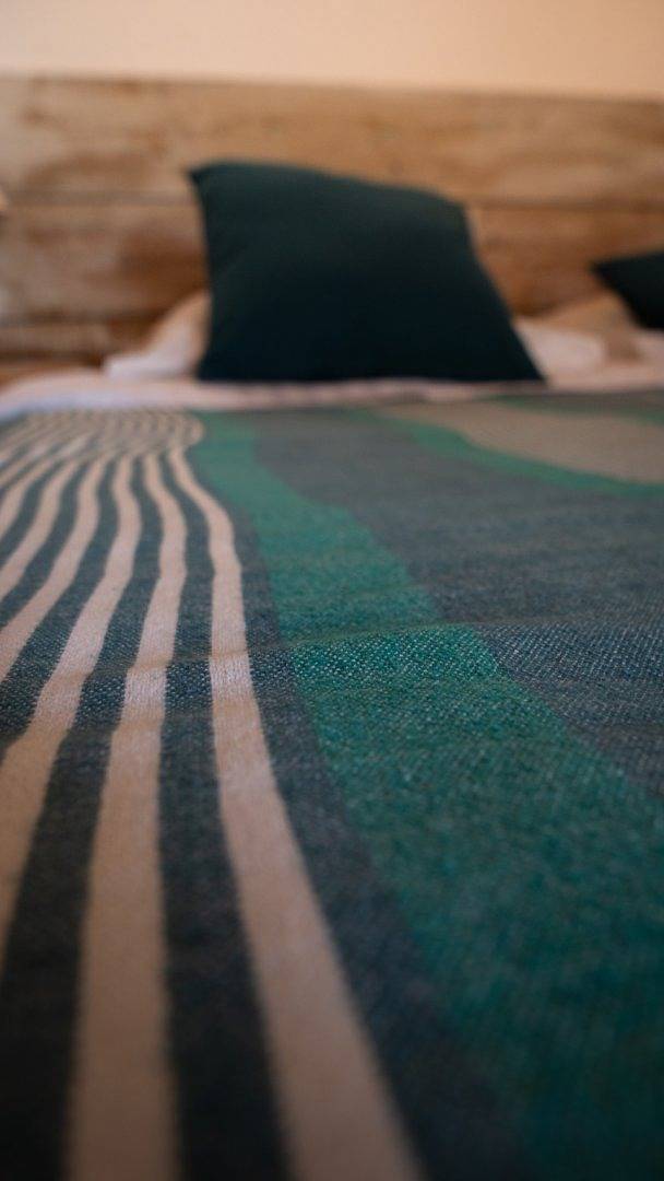 Gîte pour 4 personnes, avec jacuzzi et terrasse ainsi que piscine et jardin, animaux acceptés à Andernos-les-Bains - 2