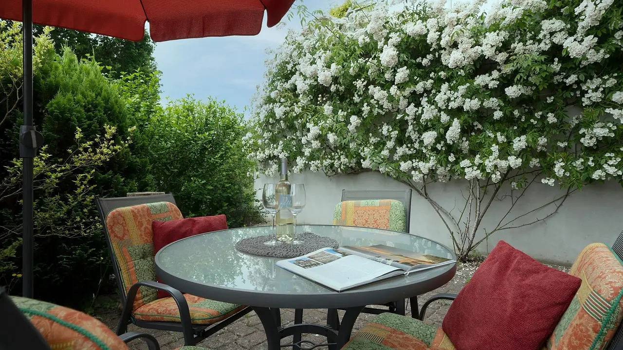 Ganze Ferienwohnung, Ferienwohnung für 3 Personen (56 m²) in Bad Malente in Bad Malente, Malente