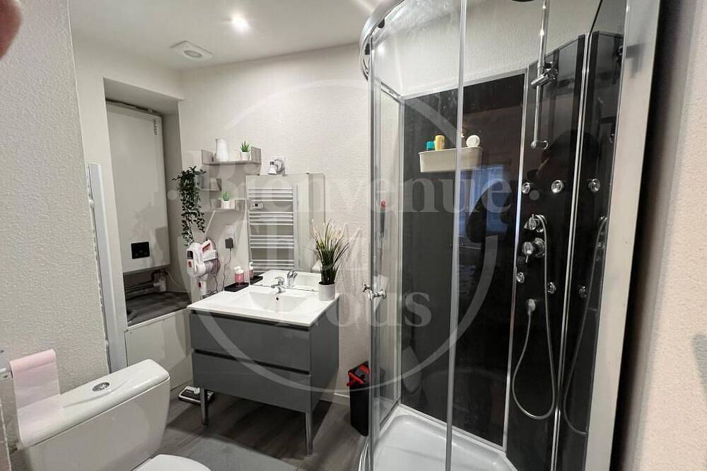 Entire apartment, F2, Av. Marx Dormoy Centre ville. (A) in Clermont-Ferrand, Volcans d'Auvergne Regional Nature Park