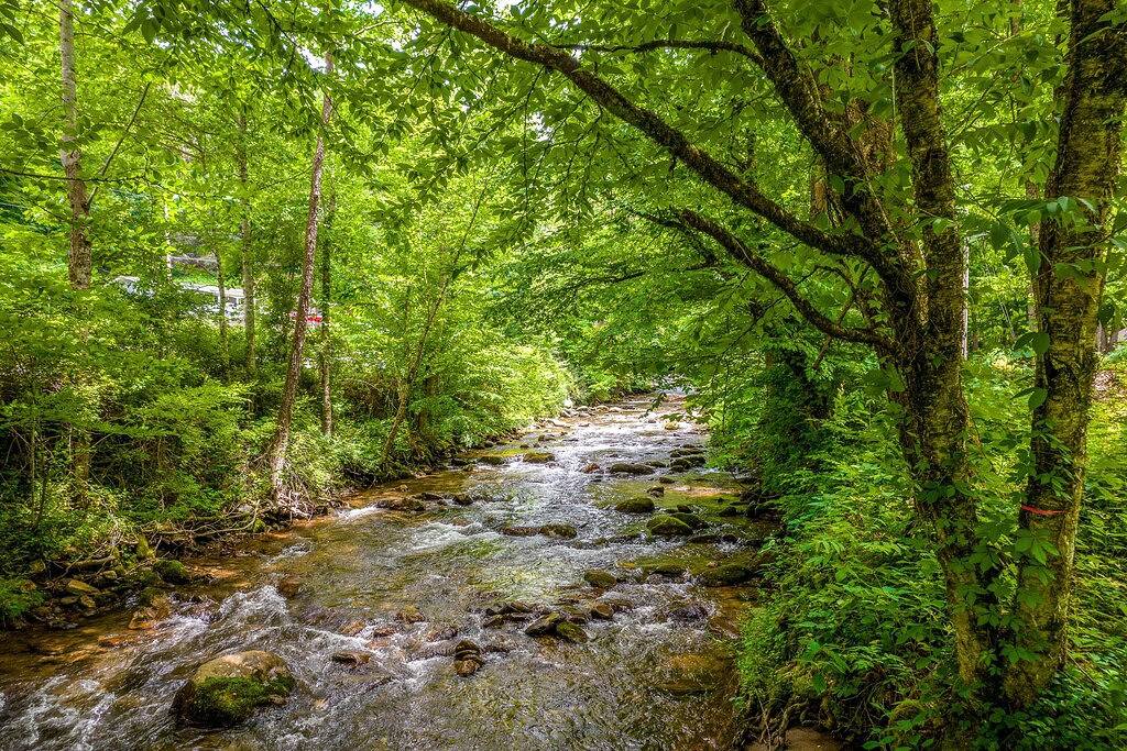 Ideal Wooded Gem W/ Large Deck, Gas Grill, Free Wifi, Firepit & Creek in Blue Ridge Parkway, Jackson County