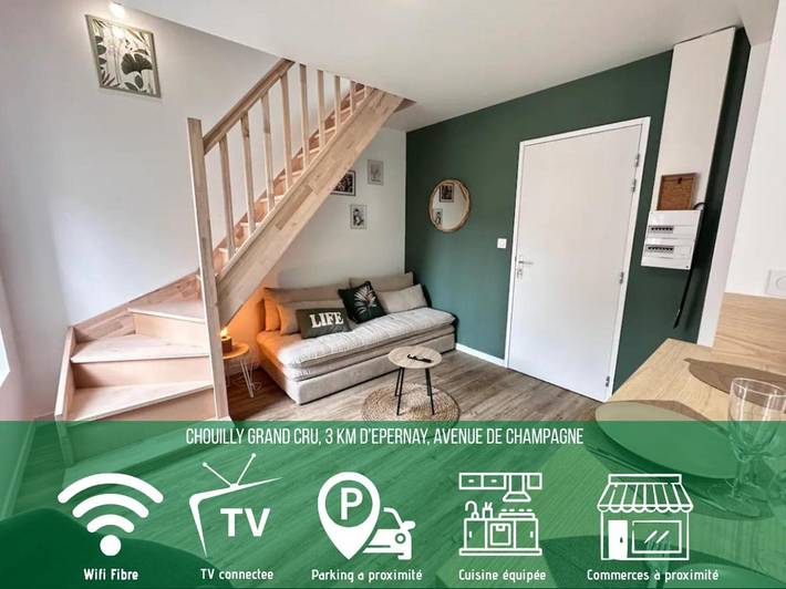 Gîte pour 4 personnes, animaux acceptés à Chouilly