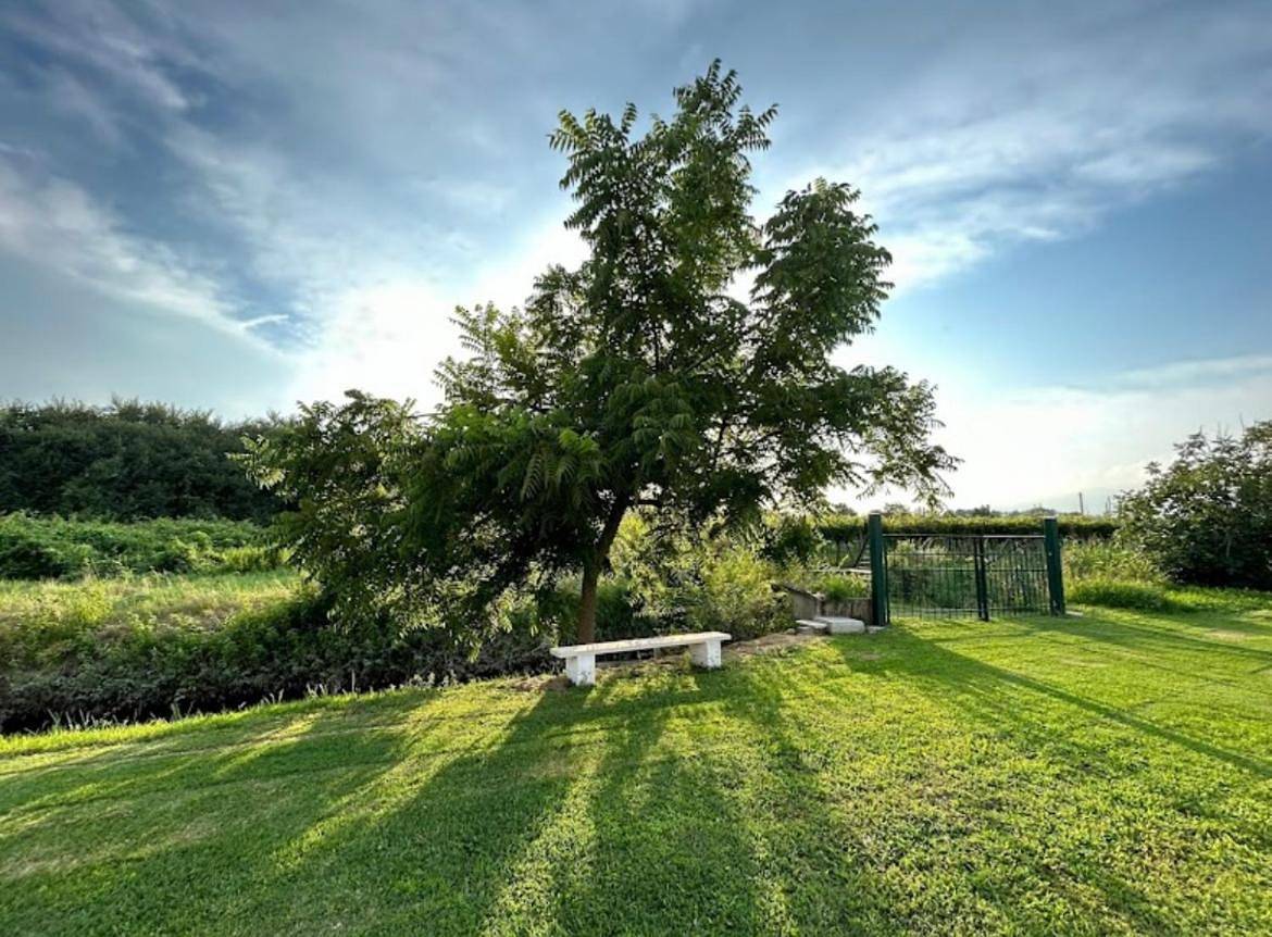 B&B da Rosy in Lazise, Gardasee-Berge