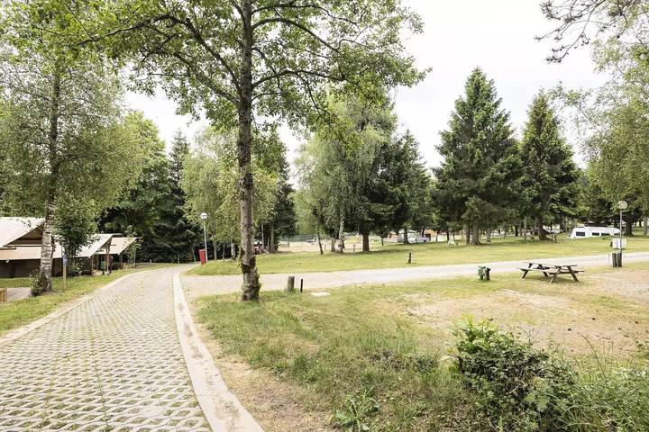 Mobil home pour 4 personnes, animaux acceptés dans Dochamps - 2