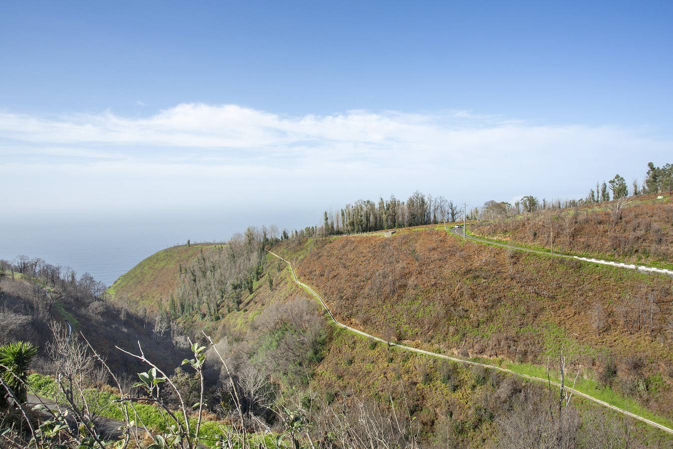 Casa de férias 'Home Thomas' com vista para o mar, Wi-Fi e ar condicionado in Madeira