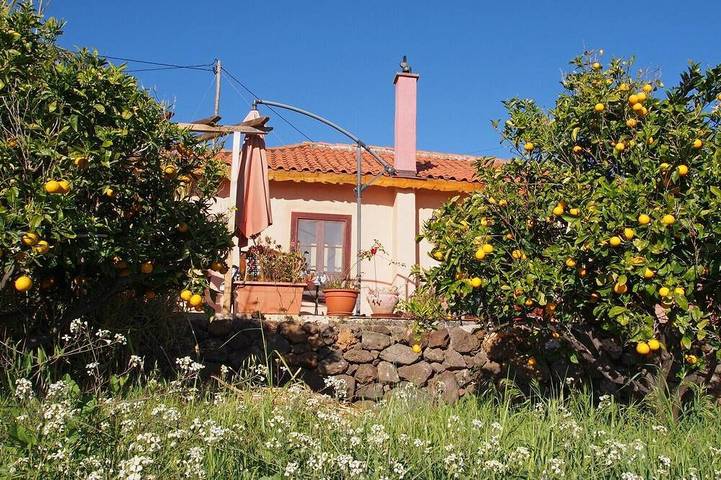 Landhaus Auf Bio-Orangen-Finca, 40.000m2, gr. Sonnenterrasse, Magische Momente! in Puntagorda, La Palma Nord