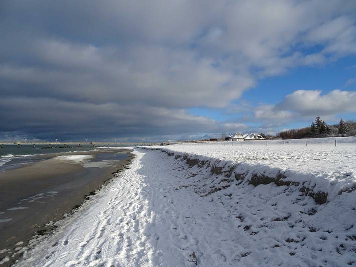 Ferienwohnung für 3 Personen, mit Terrasse, mit Haustier in Wustrow