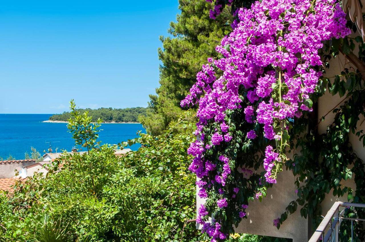 Up to 7 people,near beach and centre in Rovinj Riviera, Rovinj