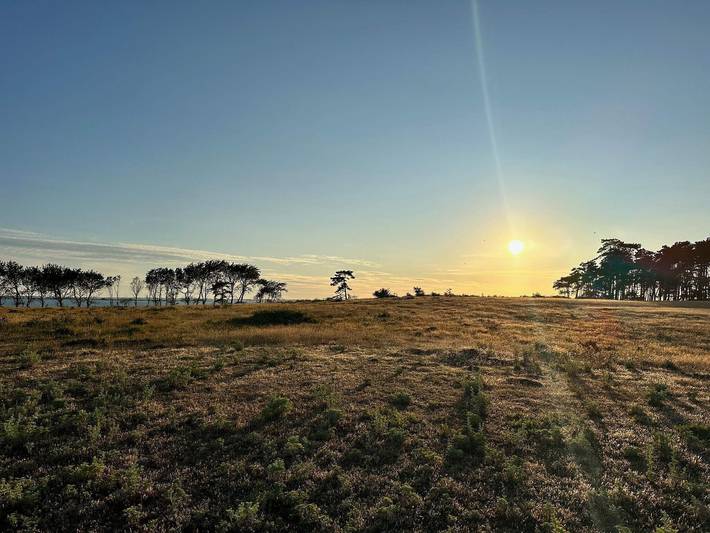 Ferienhaus für 4 Personen, kinderfreundlich in Lolland - 3