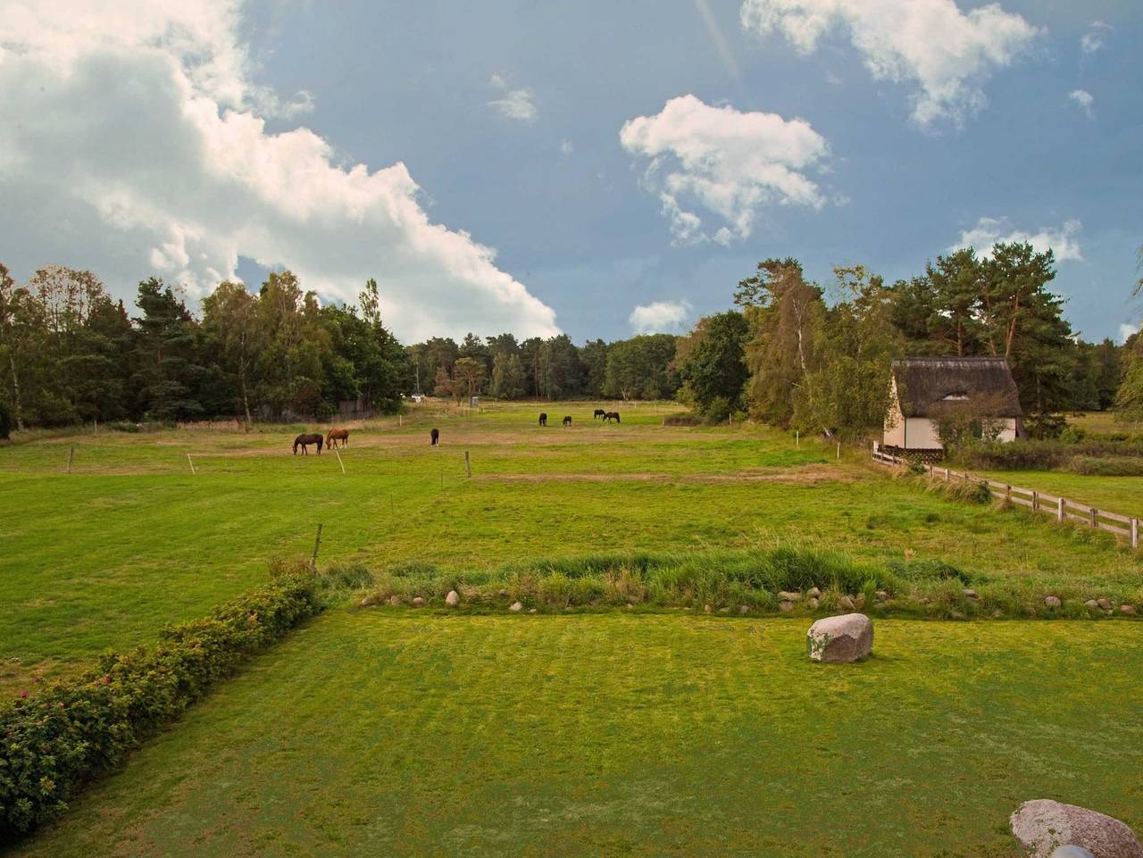 Ganze Ferienwohnung, Ferienhaus Achtern-Prerow - Ferienwohnung Eg in Prerow, Fischland - Darß - Zingst