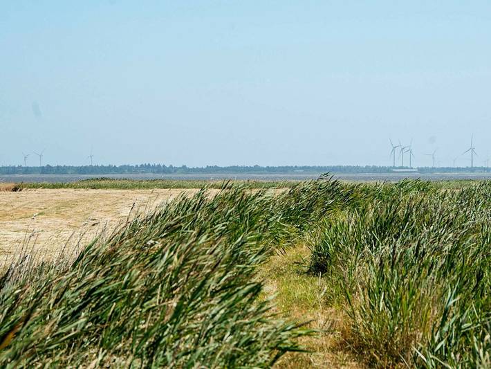 Ferienhaus für 8 Personen in Thorsminde - 3