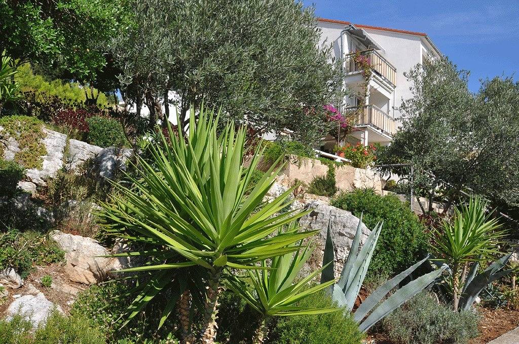 Ganze Wohnung, Studio Appartement mit Balkon und Meerblick Pasadur, Lastovo As-8351-b in Dubrovnik-Neretva